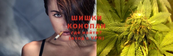PSILOCYBIN Балабаново
