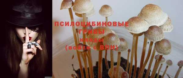 ешки Балахна