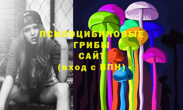 PSILOCYBIN Балабаново